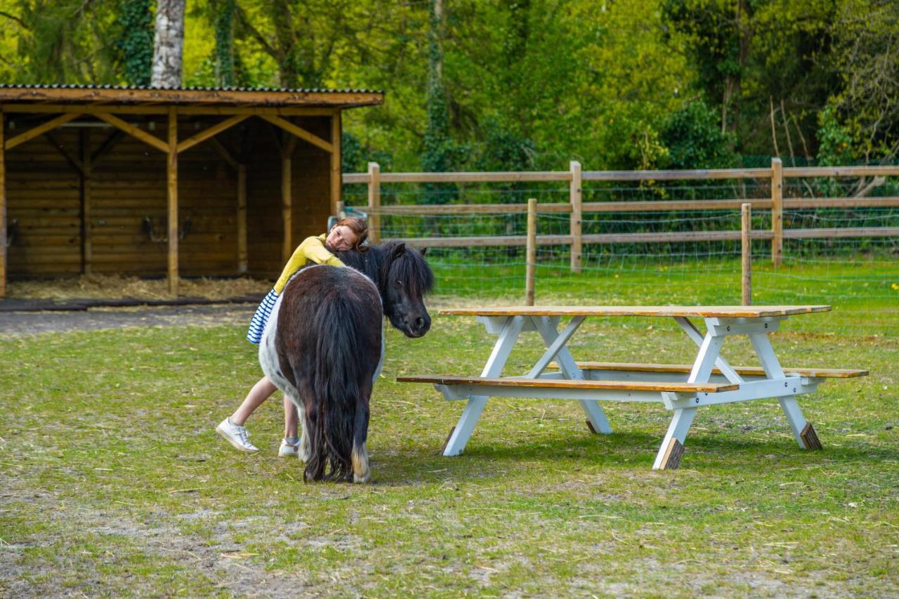 Europarcs Hoge Kempen Zutendaal Exteriör bild