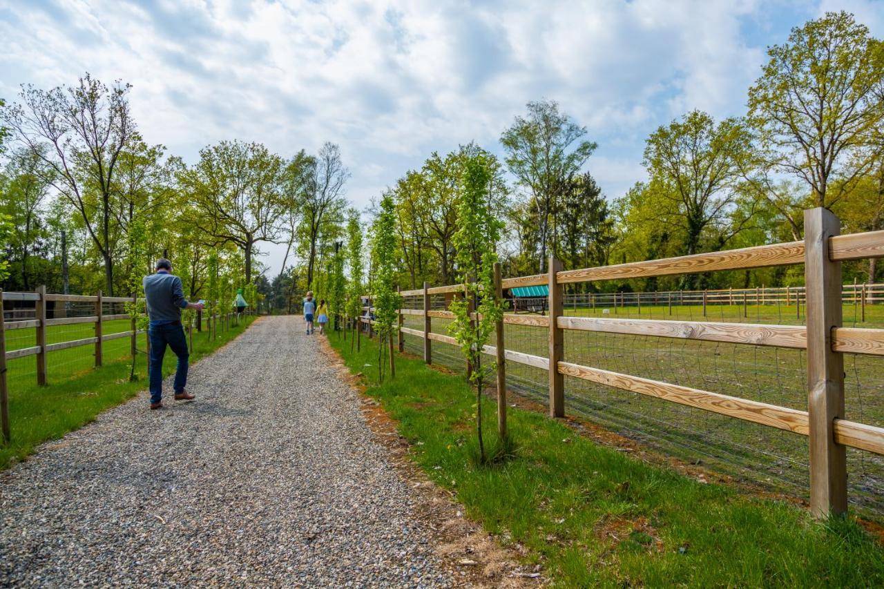 Europarcs Hoge Kempen Zutendaal Exteriör bild