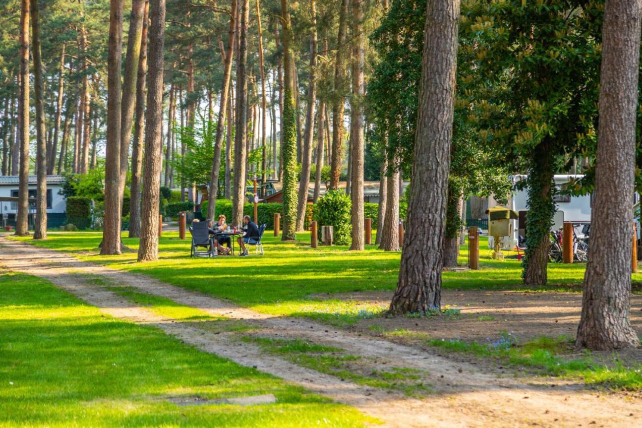 Europarcs Hoge Kempen Zutendaal Exteriör bild